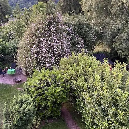 Ferienwohnung Engelspringer
